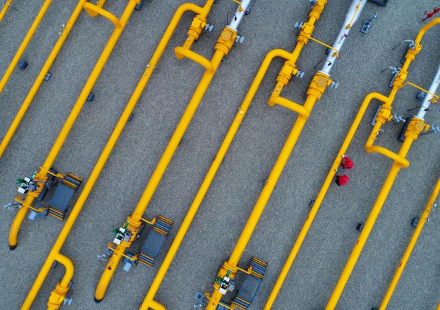 【星空真人】百色田林:枇杷种植产业助增收(图4) 星空真人集团官网