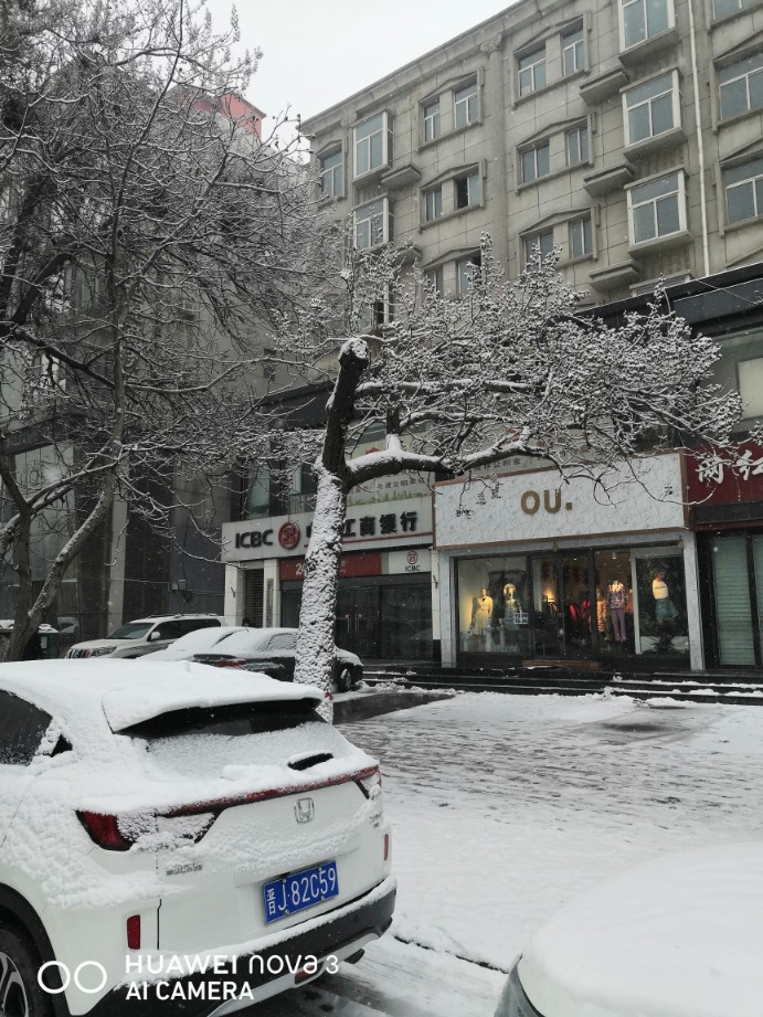 星空真人集团官网：《绝对无敌雷神王》新小说连载再开 园田英树执笔