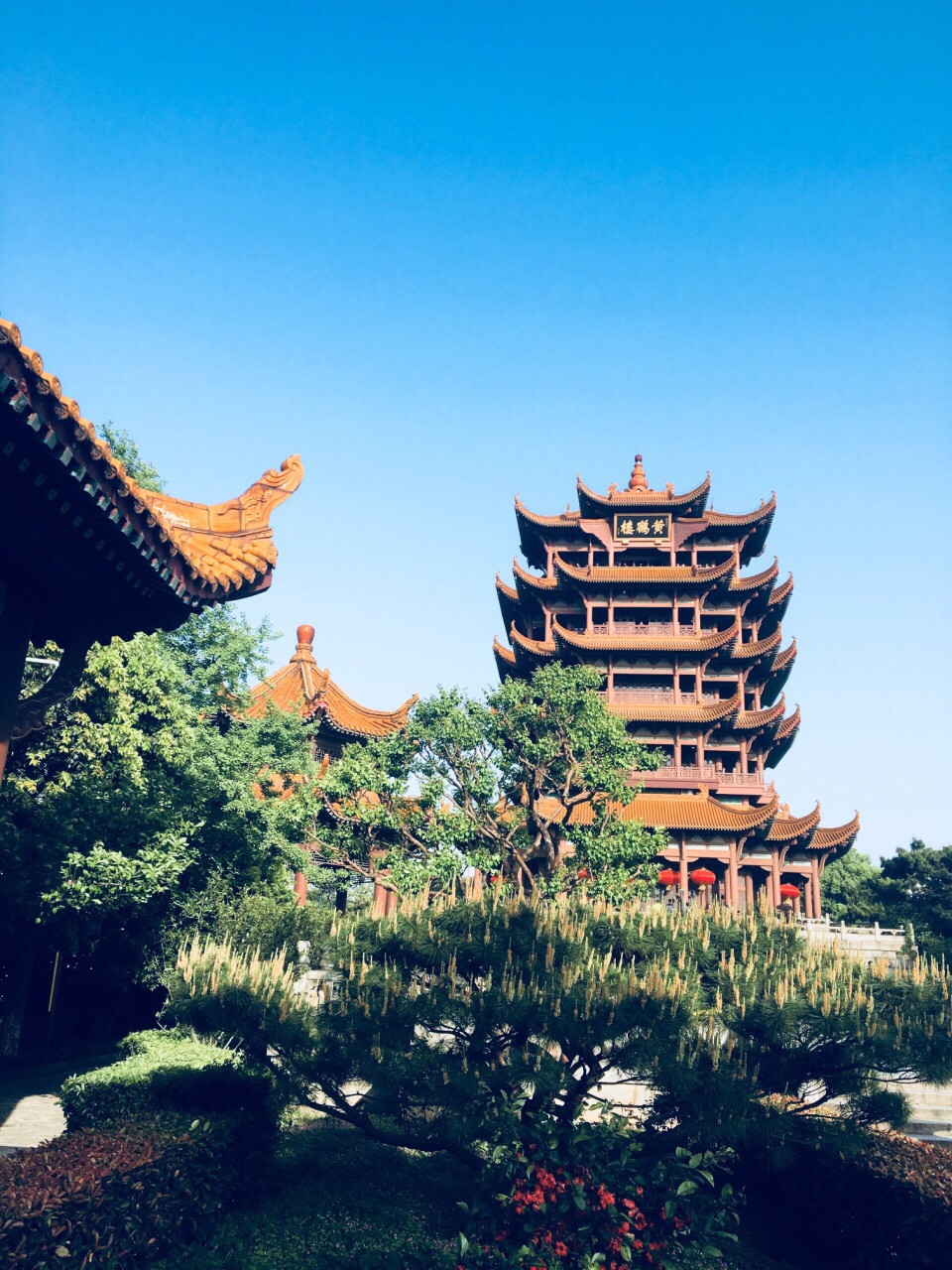 星空真人集团官网