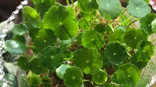 星空真人集团官网