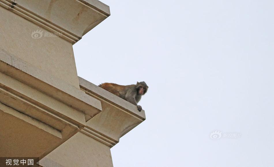 音乐才女张倩助力十九大献礼影片《六年六天》_星空真人(图2) 星空真人集团官网