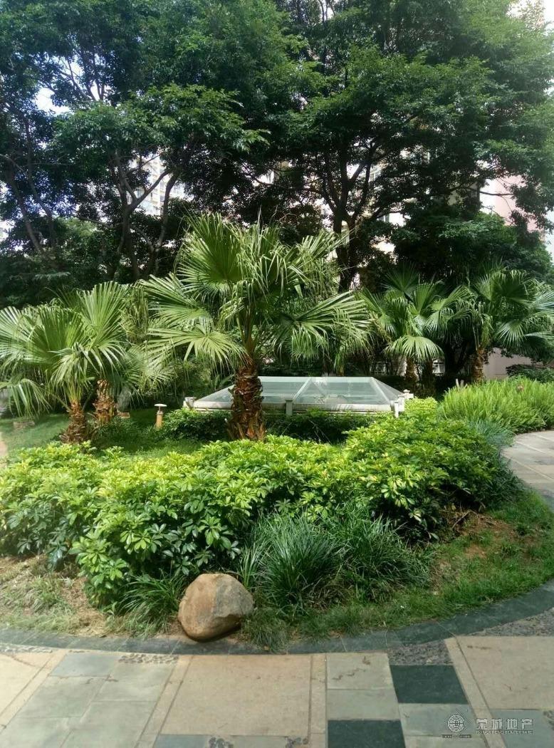 星空真人集团官网|何超仪携乐队亮相广州草莓音乐节 热唱嗨翻全场(图1) 星空真人