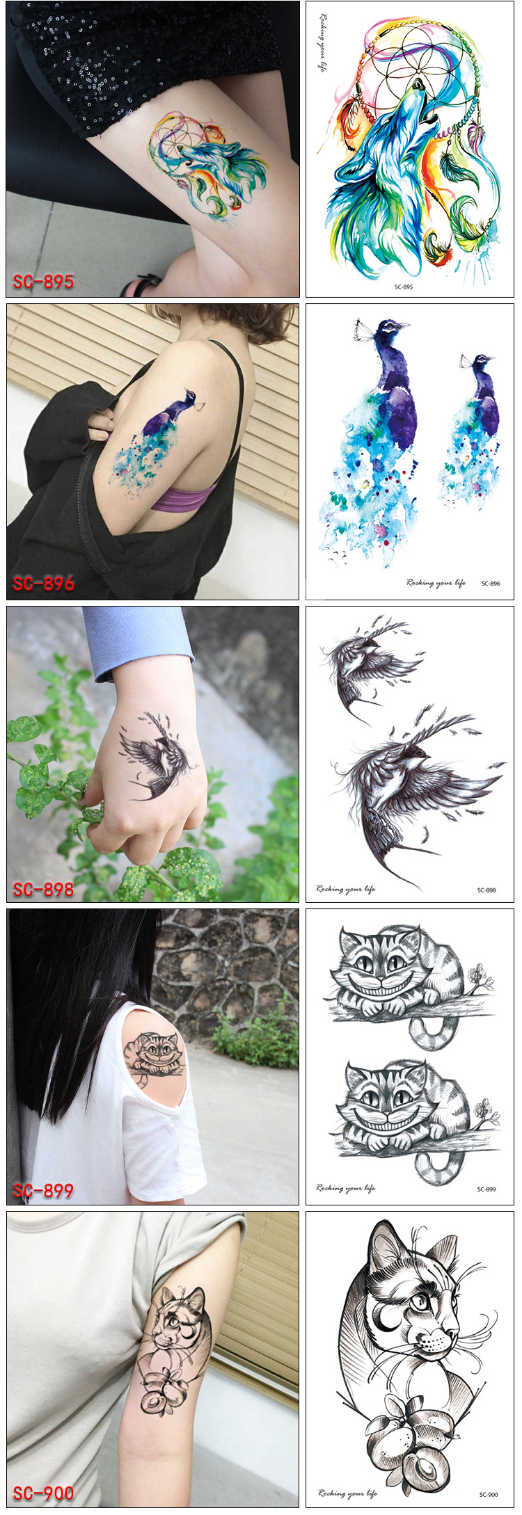 星空真人集团官网