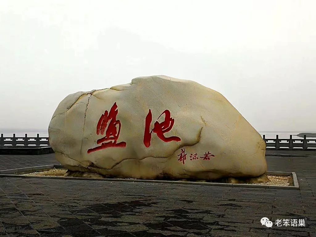 星空真人集团官网