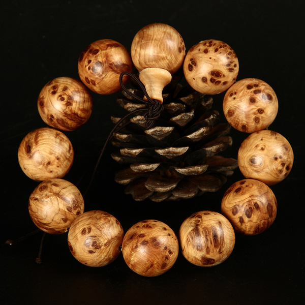 星空真人集团官网