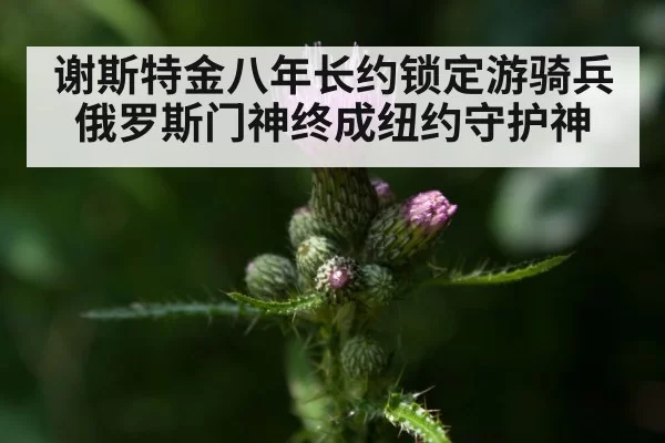 谢斯特金八年长约锁定游骑兵 俄罗斯门神终成纽约守护神